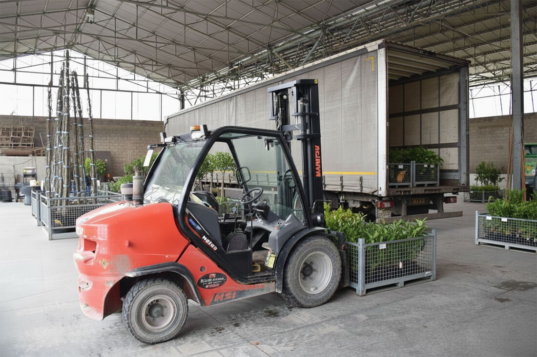 Gallery - Plantology.it (9)